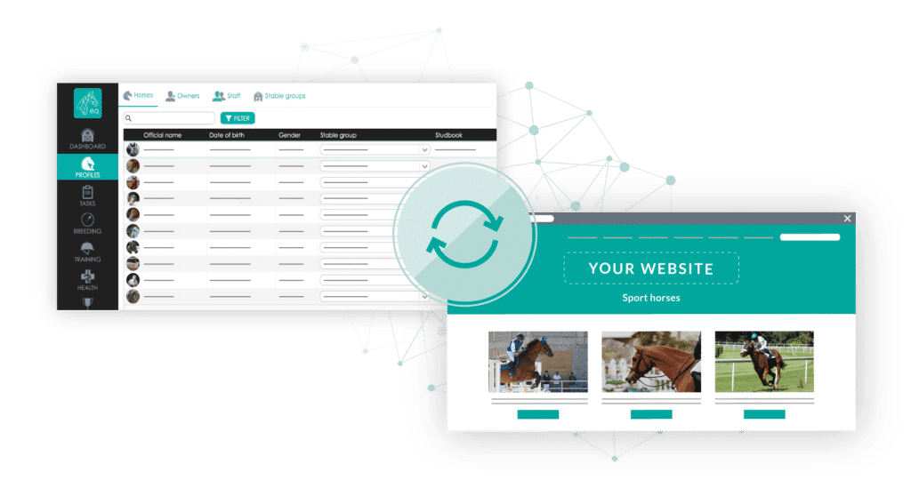 Connect your website