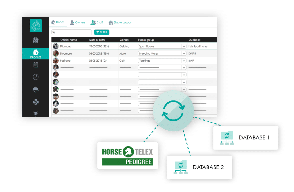 connecter des bases de données de chevaux