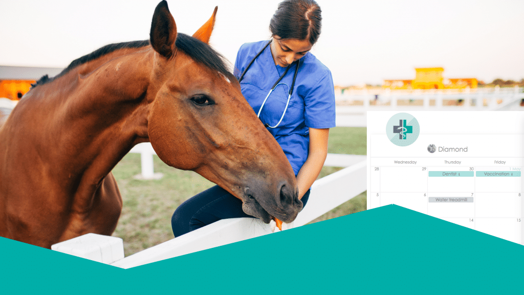 Horse in field by a white fence with a vet sitting on the fence