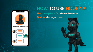 How to use Hoofy AI