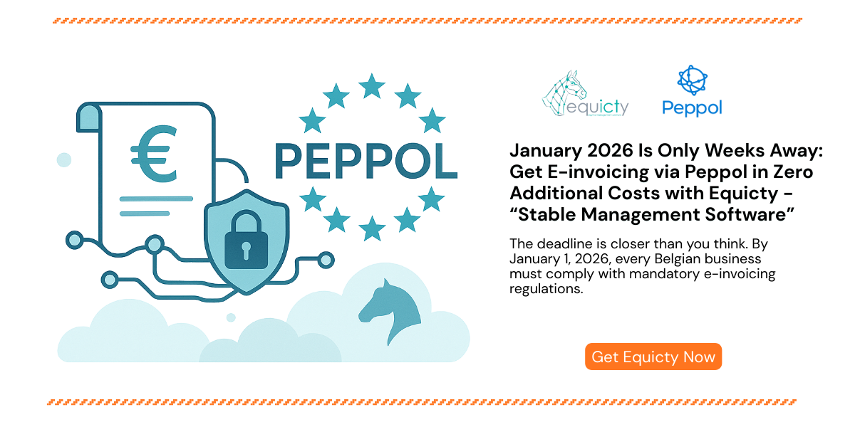 peppol einvoicing